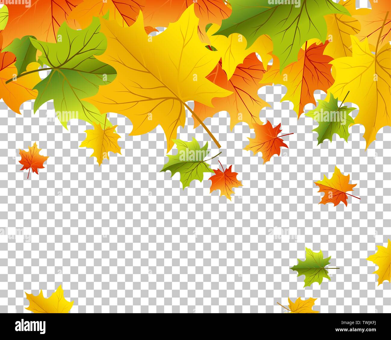 Falling maple leaves with transparency grid on back. Vector Illustration. Stock Vector