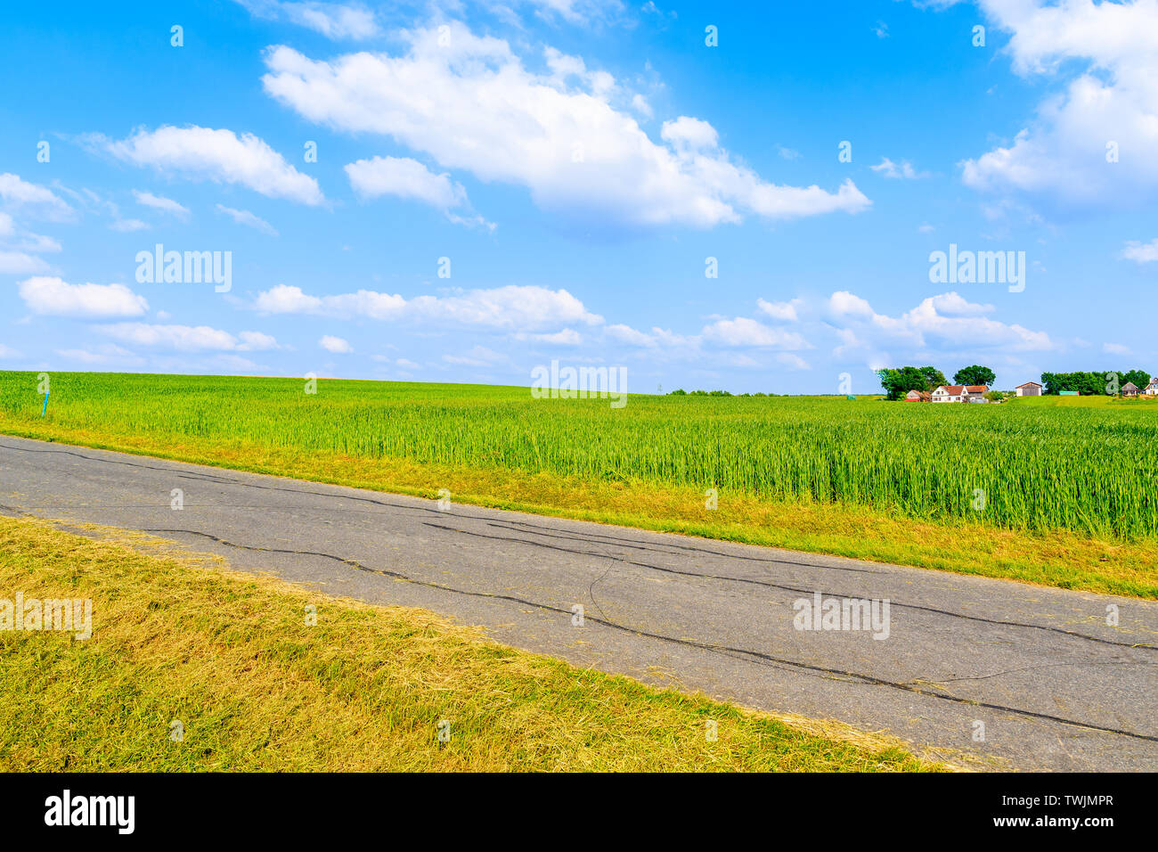 Rural road and green fields in spring landscape of Burgerland near Strem village, Austria Stock Photo