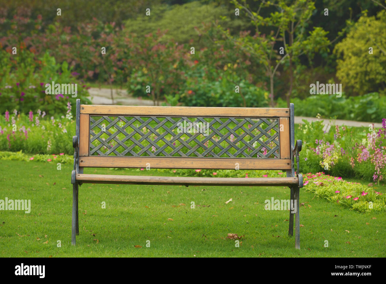 Empty bench in a lawn Stock Photo