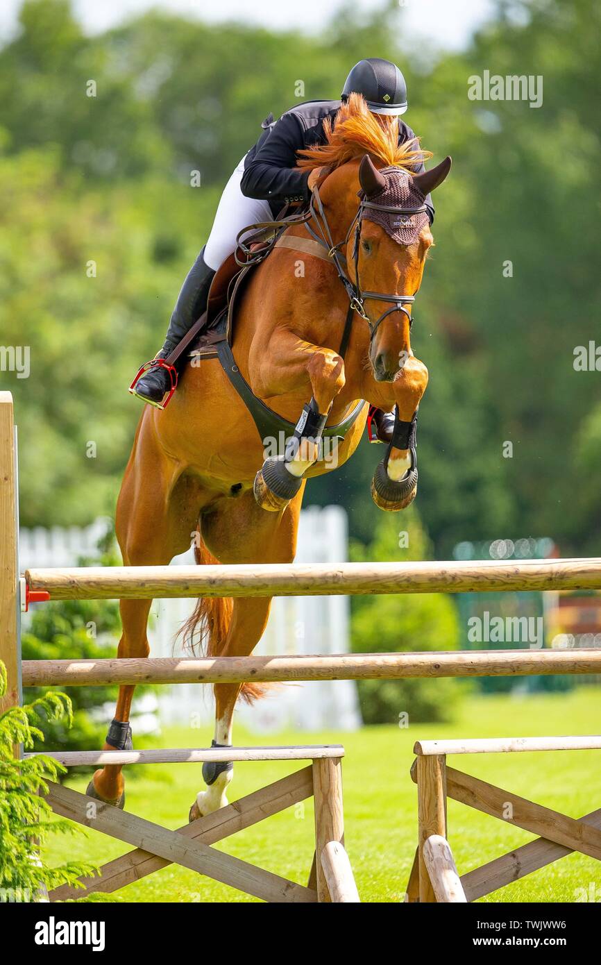 Hickstead, West Sussex, UK. 20th June, 2019. Winner. Jake Saywell riding Galaxcy IX. GBR. The Hickstead Annual Grade C Championship in memory of Sarah Davidson. Showjumping. The Al Shira'aa Hickstead Derby Meeting. Hickstead. West Sussex. United Kingdom. GBR. 20/06/2019. Credit: Sport In Pictures/Alamy Live News Stock Photo