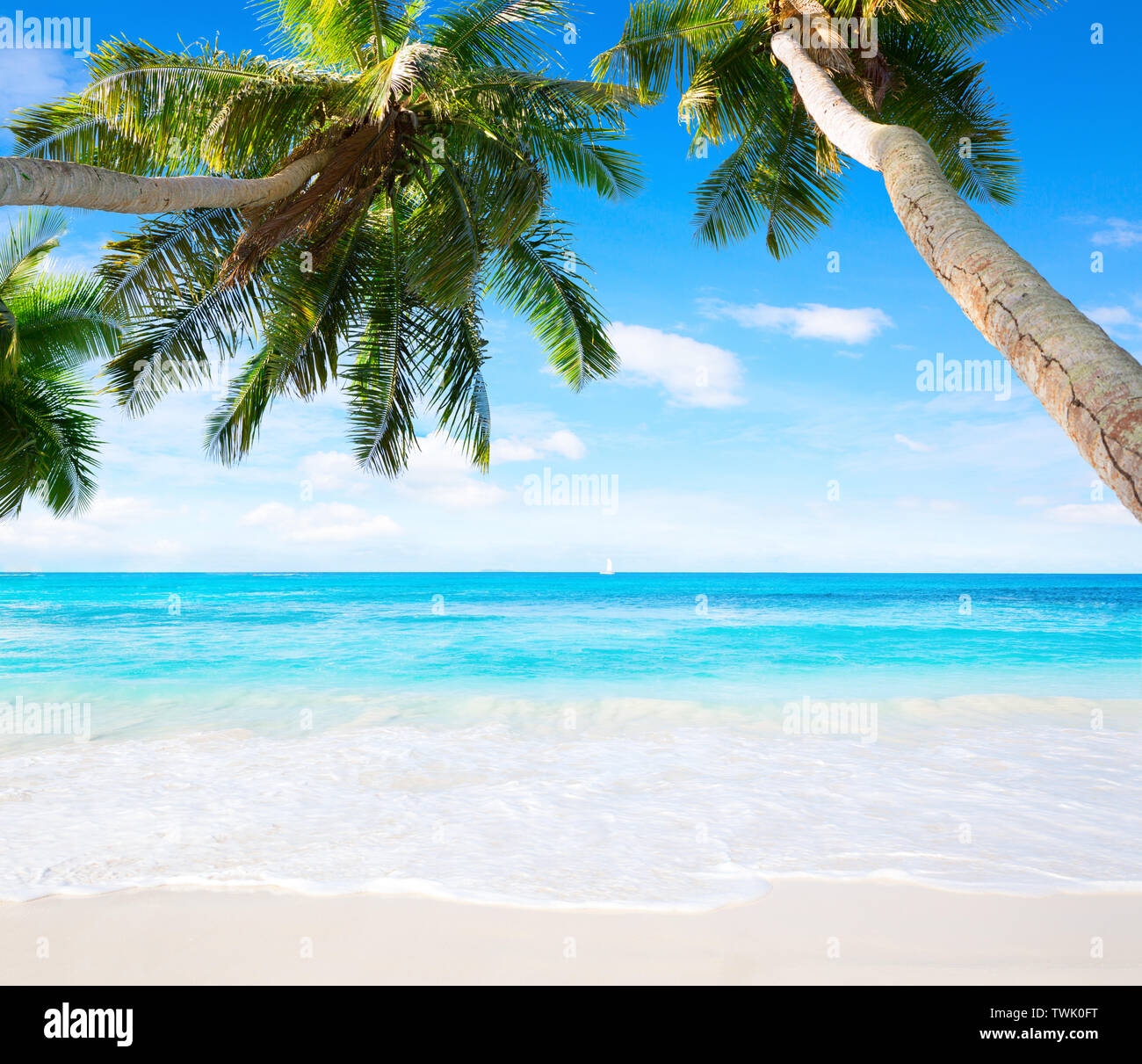 Scenic seascape with coconut palm trees and oceans turquoise water. Idyllic tropical beach scene. Stock Photo