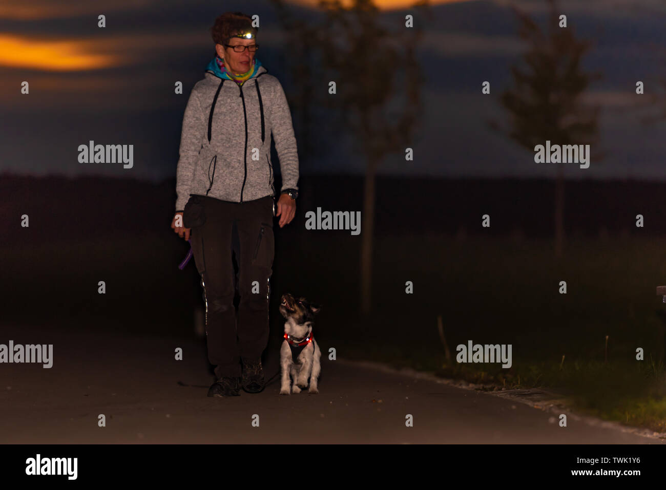 woman-goes-with-a-dog-walking-in-the-autumn-at-night-with-flashlight-jack-russell-terrier-doggy-TWK1Y6.jpg