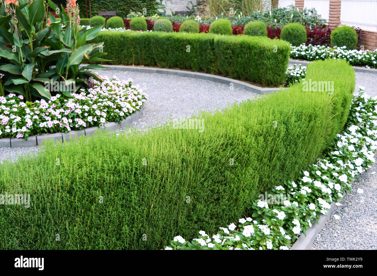 Beautiful design of the yard. Blooming flower beds and hedges. Flowers and ornamental shrubs in the yard. Stock Photo