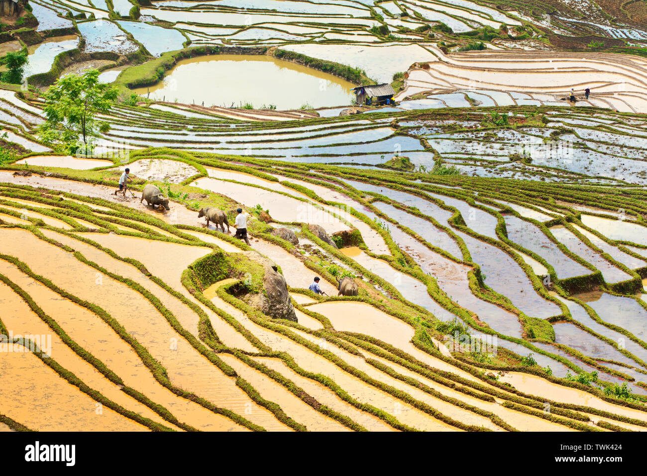 Farmers harrowing fields hi-res stock photography and images - Alamy