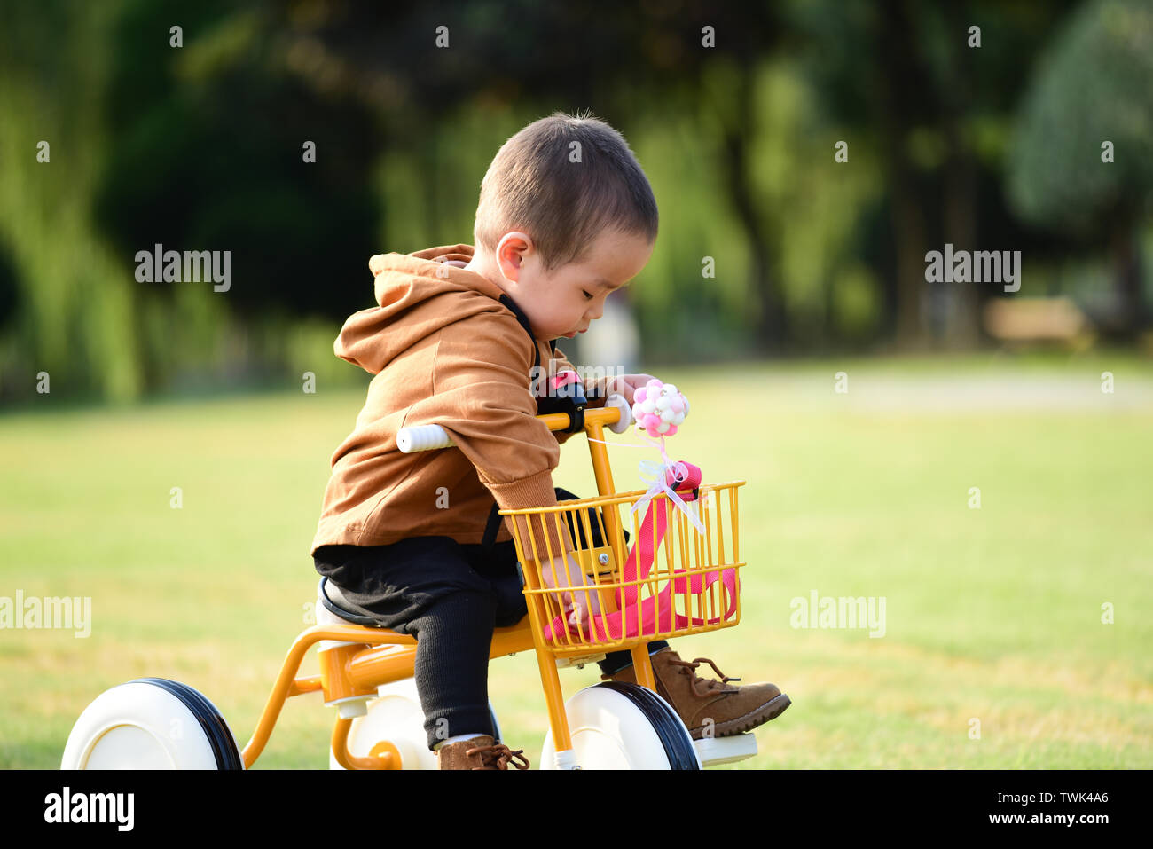 Little boy riding a tricycle Stock Photo Alamy