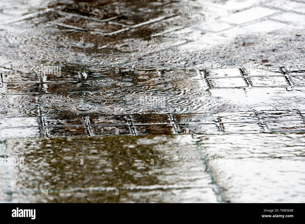 A pavement during heavy rain, UK Stock Photo Alamy