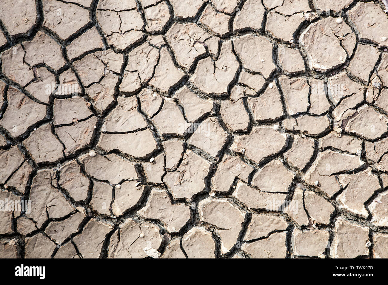 Cracked dry soil hi-res stock photography and images - Alamy