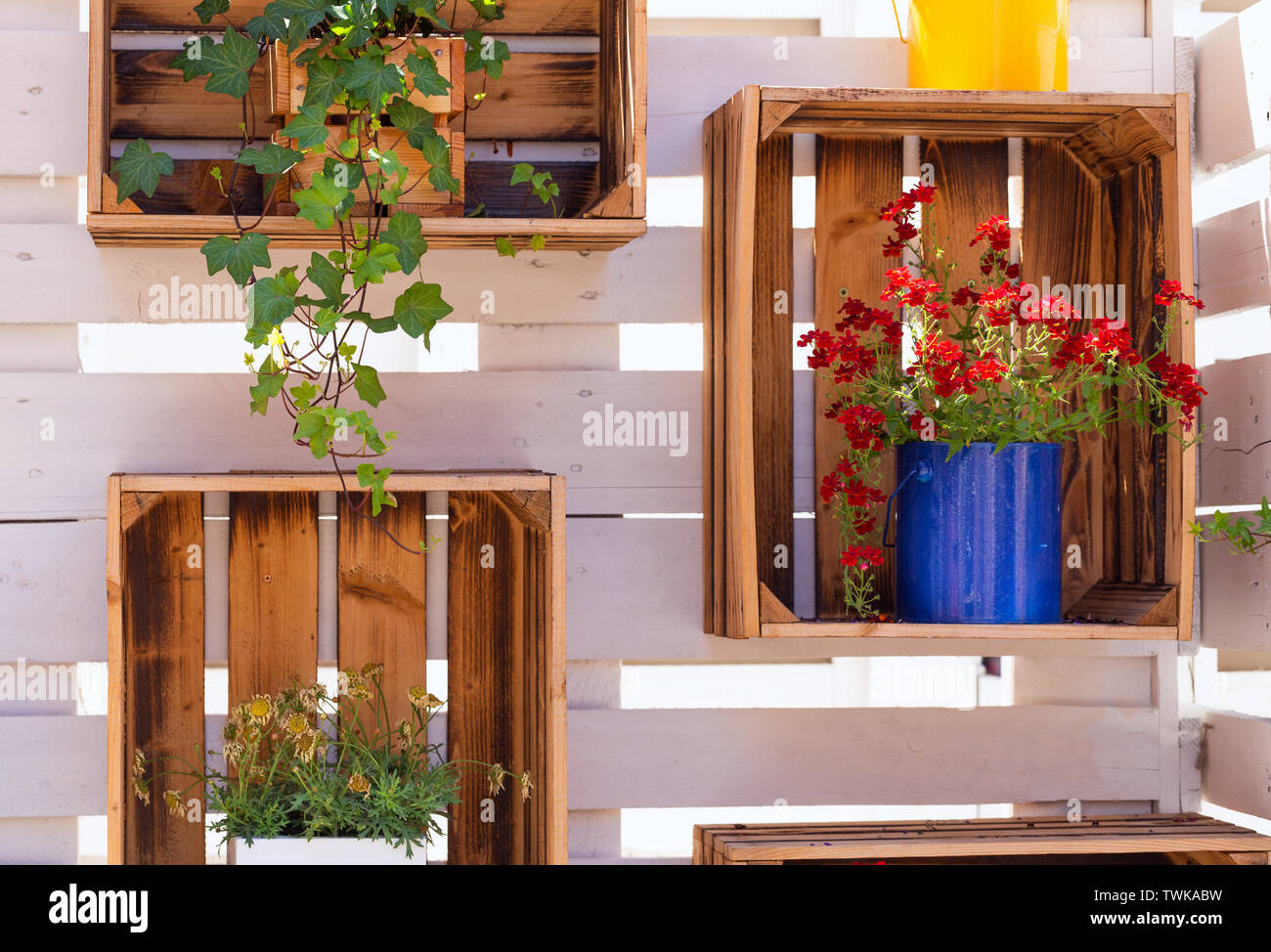 Blooming flowers in stylish boxes Stock Photo - Alamy