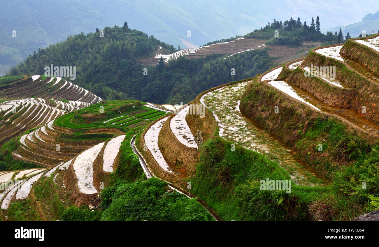 Guangxi dragon ridge terraces beautiful world Stock Photo - Alamy