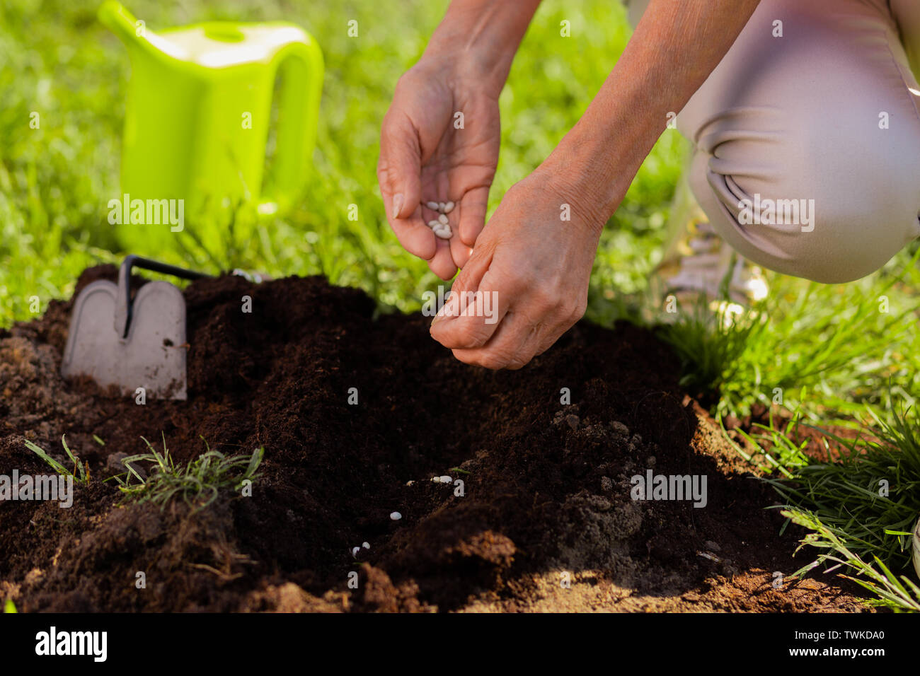 Soil enrichment. Close up of female hands enriching soil near just