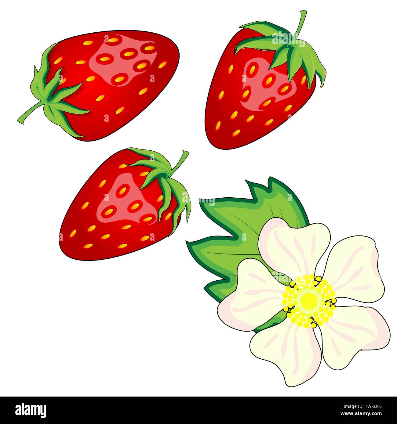 red berry strawberry and a half of strawberry. Set flower, petal ...