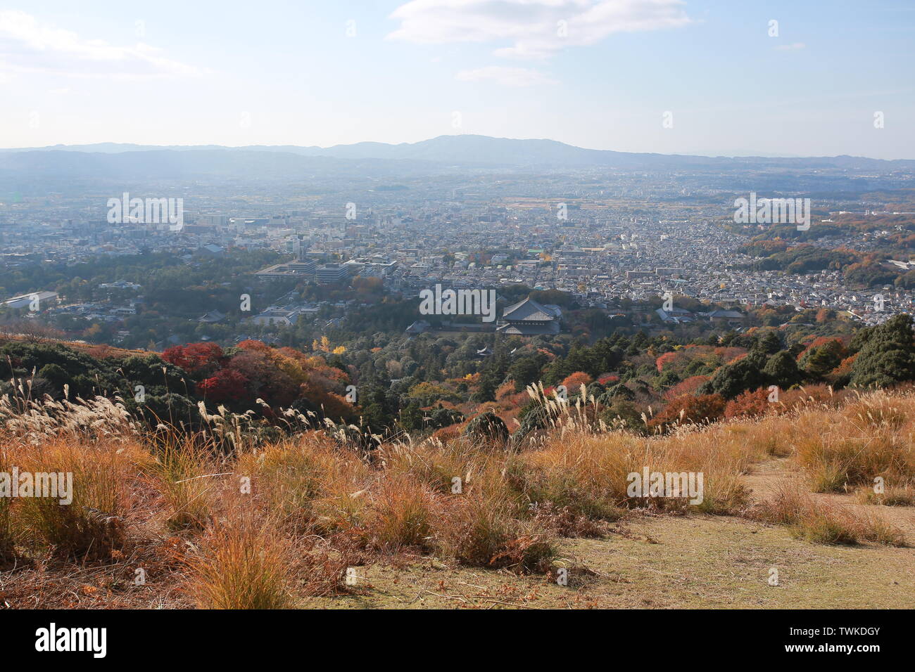 the valley of forest with falling color in nara, with the nara cityscape in far away Stock Photo