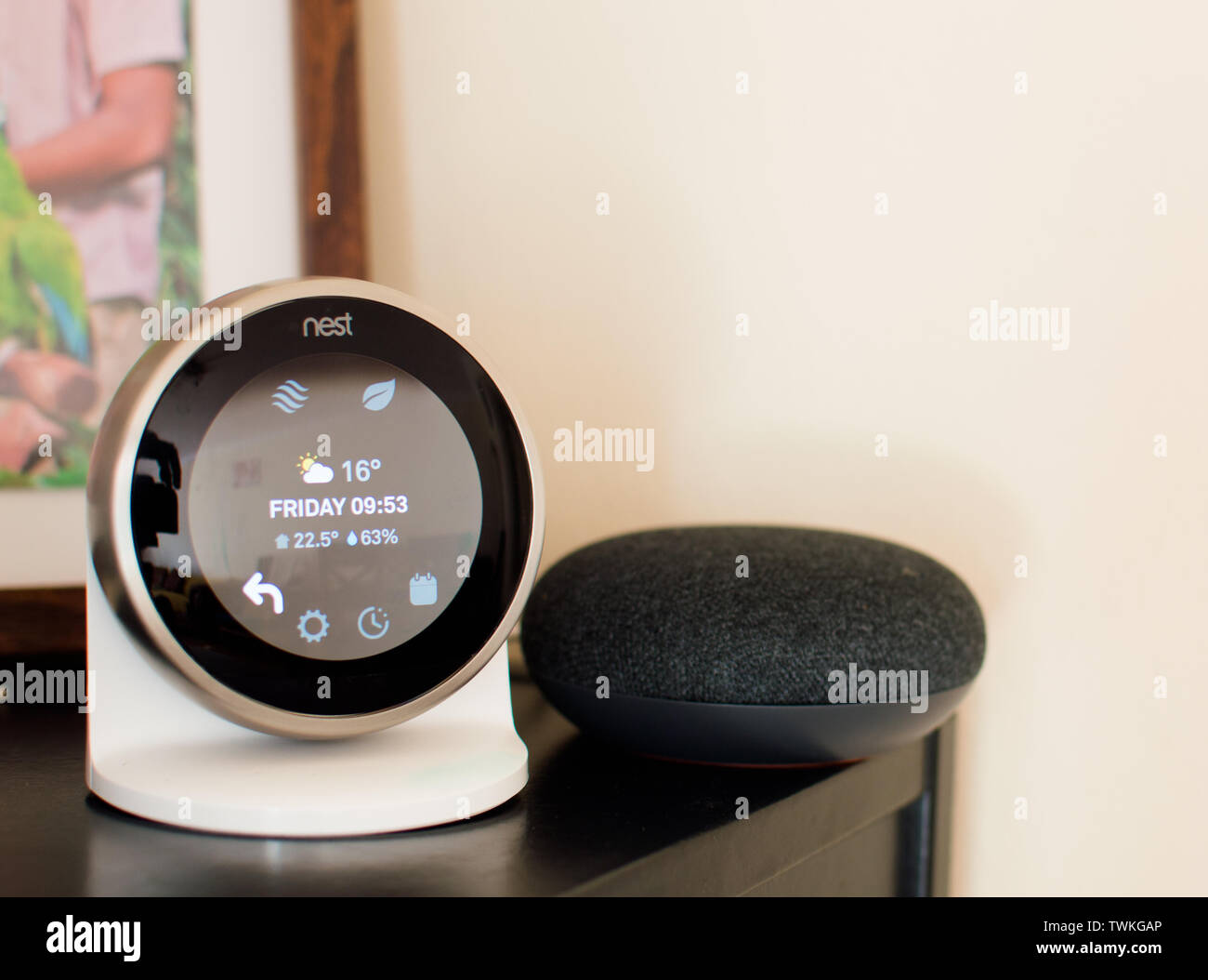 nest thermostat with google mini