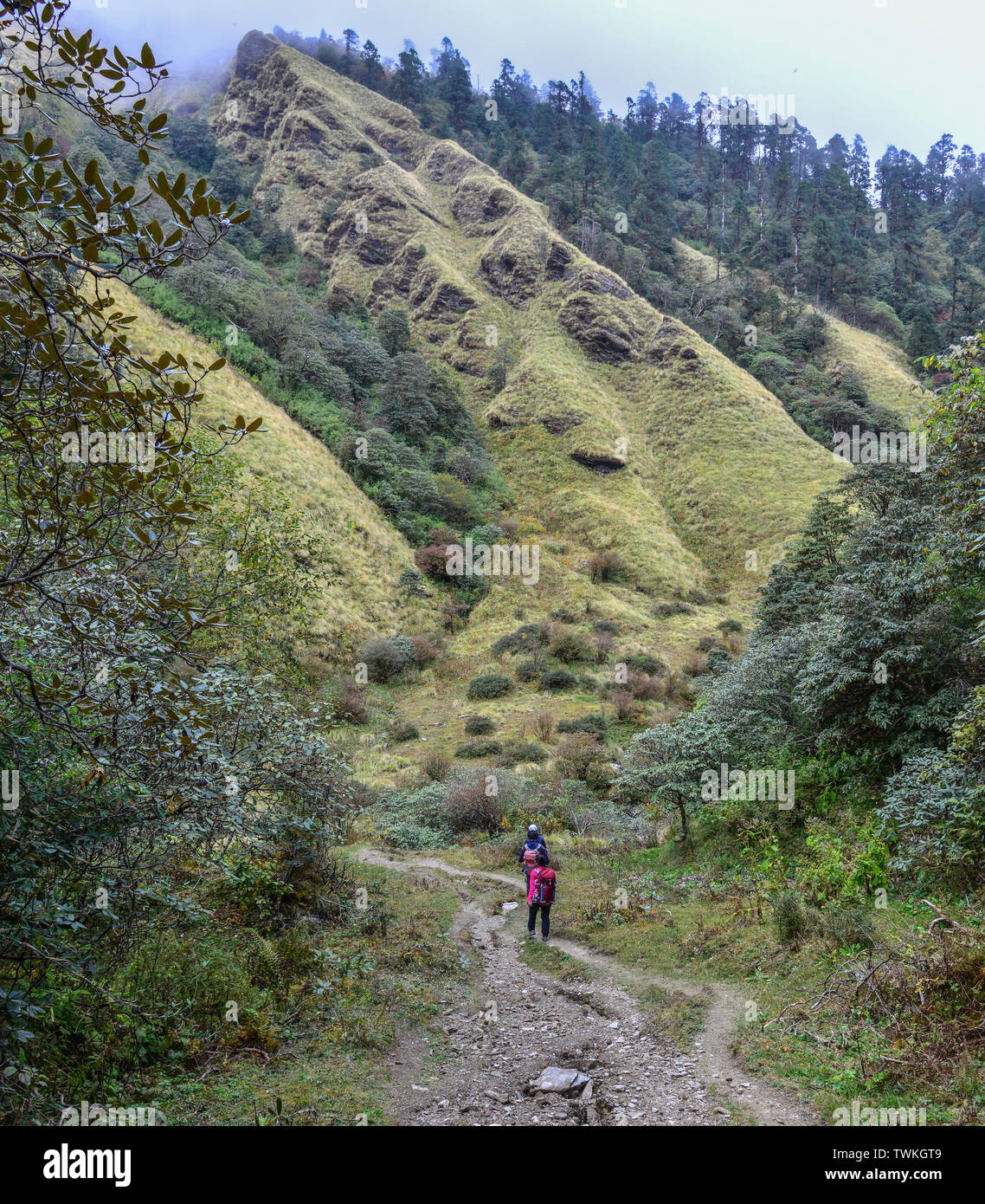 Trekking trail of Annapurna Circuit Trek in summer day. Numerous other peaks of 6000-8000m in elevation rise from the Annapurna range. Stock Photo