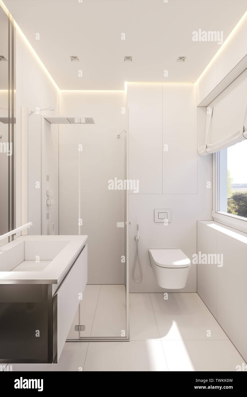 3d Illustration Of A Bathroom In A Private Cottage Interior Design In White Without Textures Stock Photo Alamy