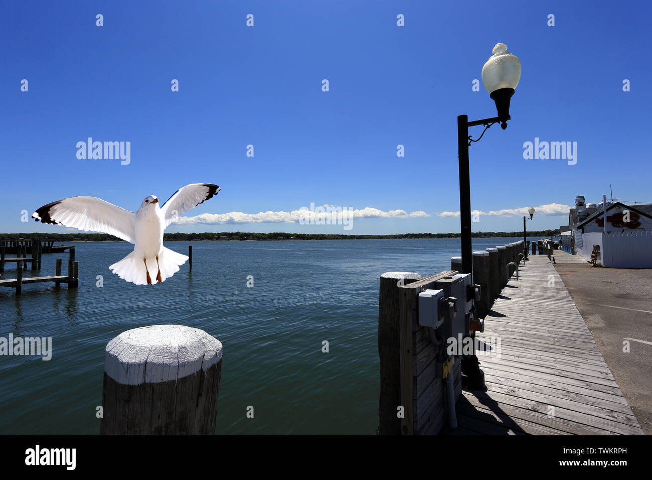 Greenport Harbor Long Island New York Stock Photo Alamy