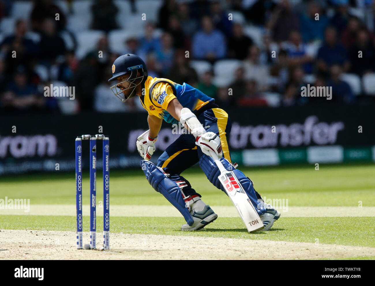 Steadied High Resolution Stock Photography And Images Alamy