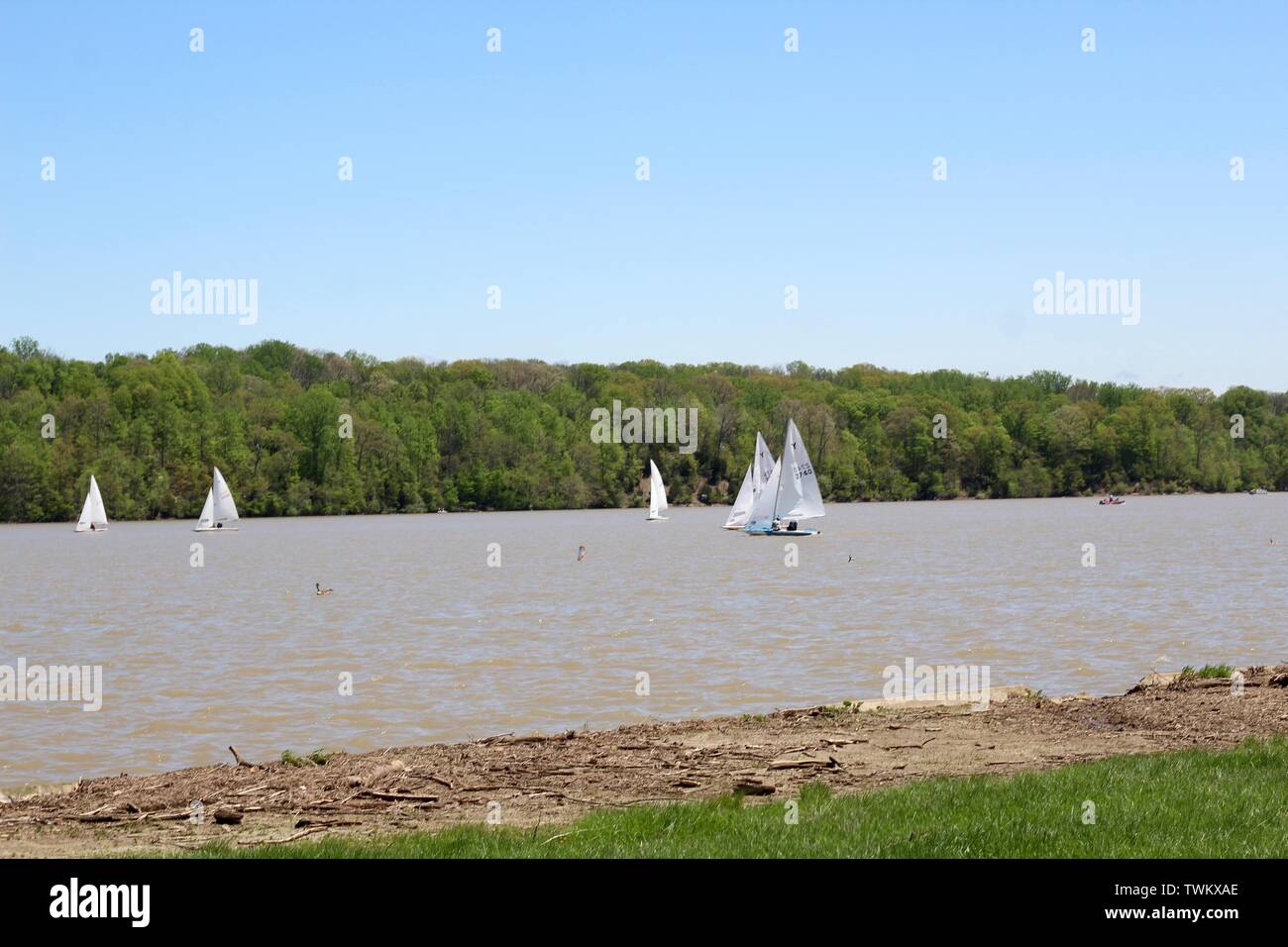 A day of boats on the water of the lake at Hueston Woods State Park in Ohio. Stock Photo