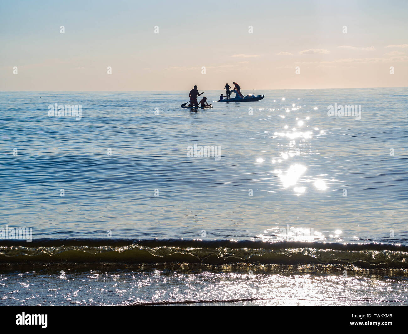 Sap surfing hi-res stock photography and images - Alamy