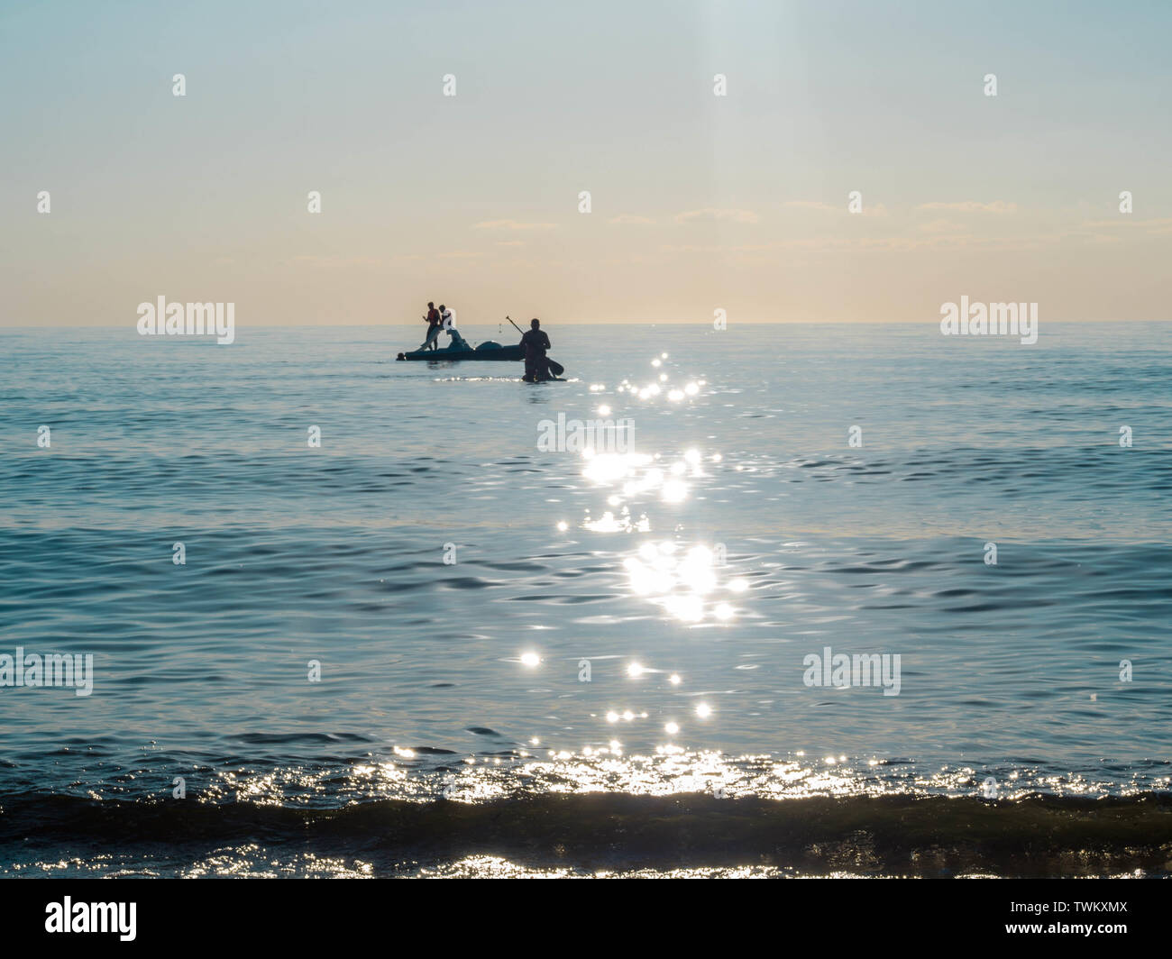 Sap surfing hi-res stock photography and images - Alamy