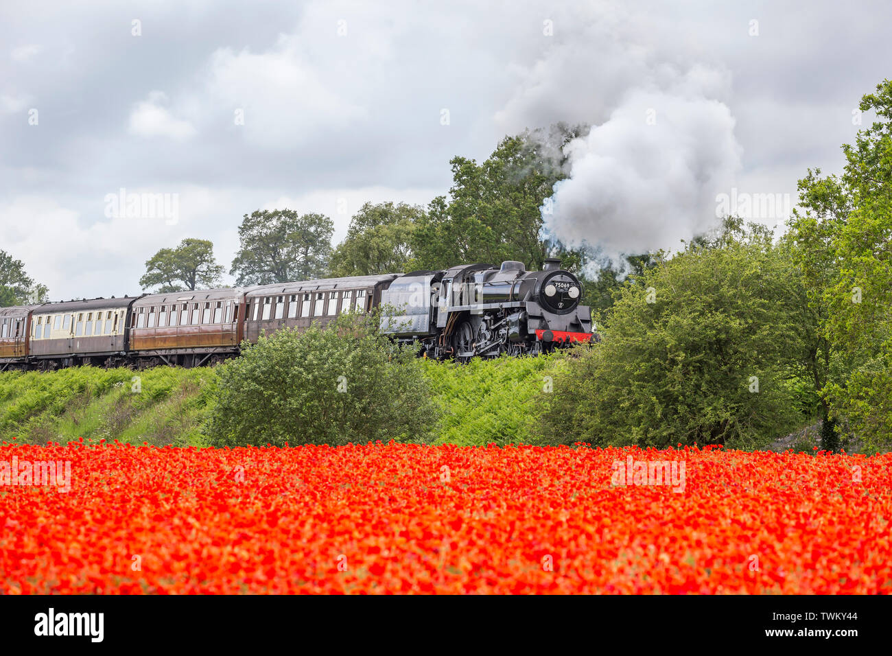 Summer Steam Arrival GWR Beautiful Print Painting Poster Steam Train Locomotive