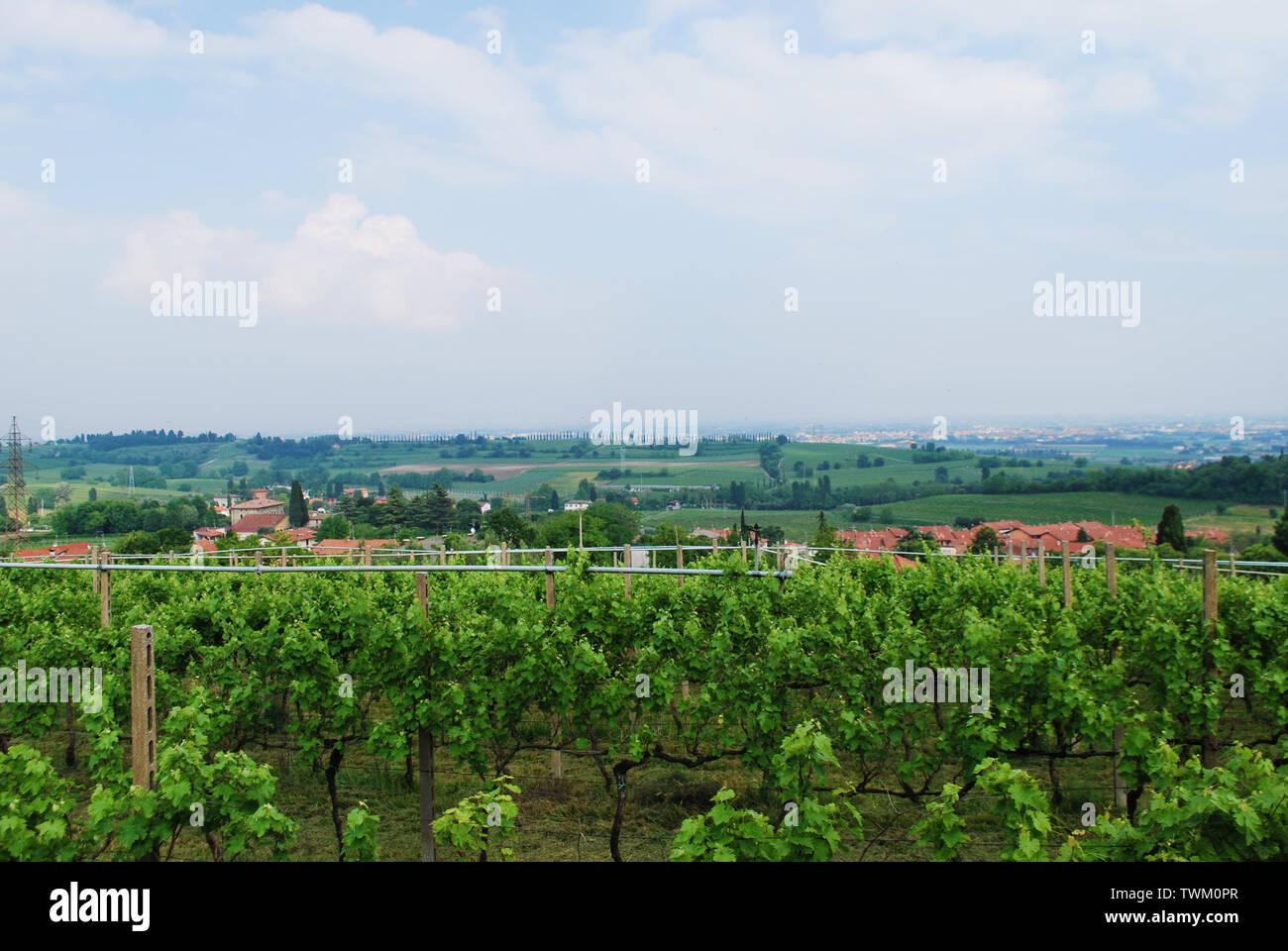 Countryside surrounding the ossuary of Custoza at Sommacampagna, Verona, Veneto, Italy. Stock Photo