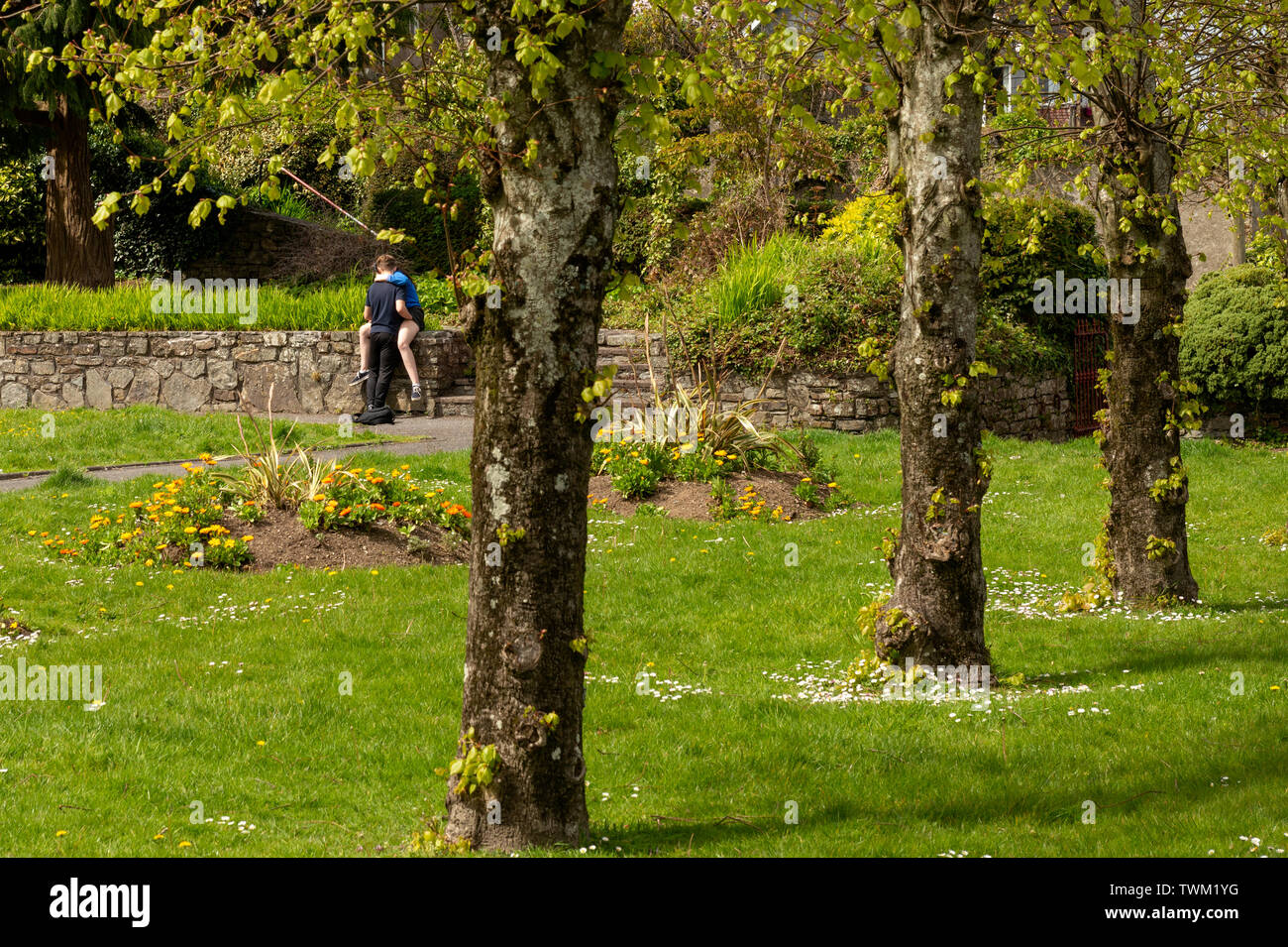 Young people teen couple making out kissing embracing unashamed in public park in Kinsale, County Cork, Ireland Stock Photo
