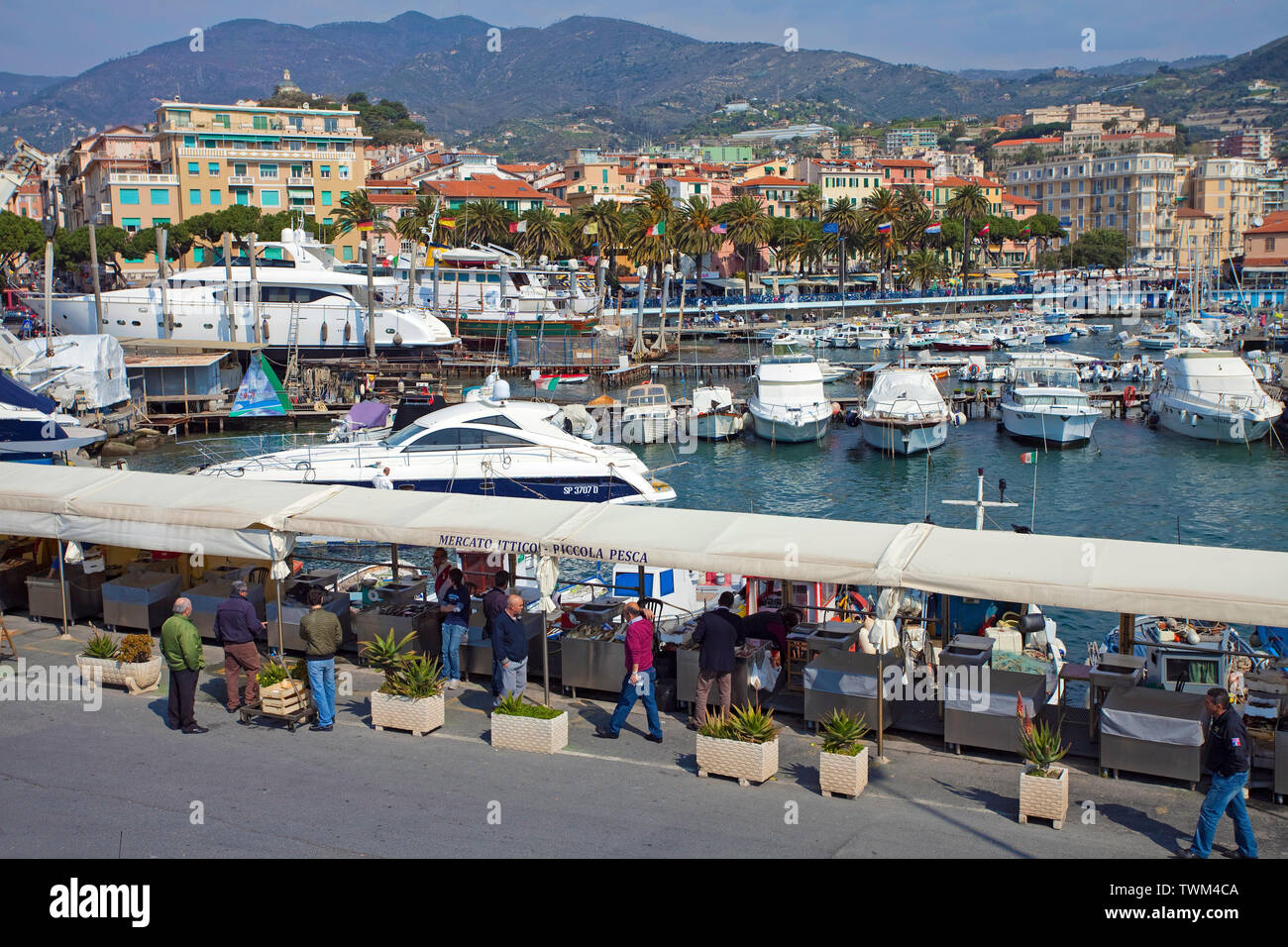 Fish market at the harbour of San Remo, harbour town at the ligurian coast, Liguria, Italy Stock Photo