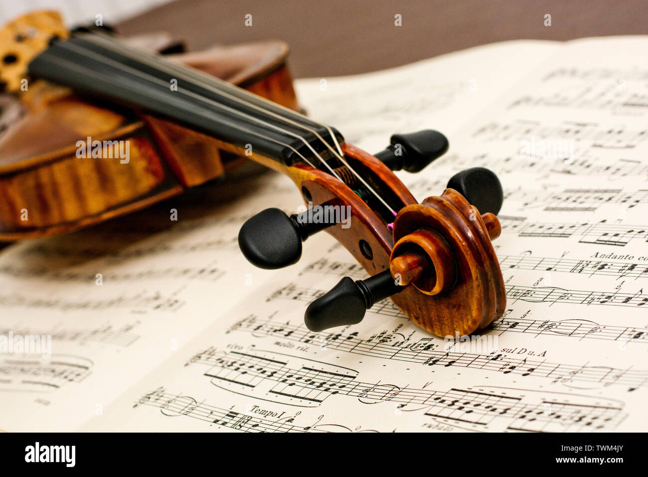 Violin neck of this classic vintage wooden instrument lying down on top