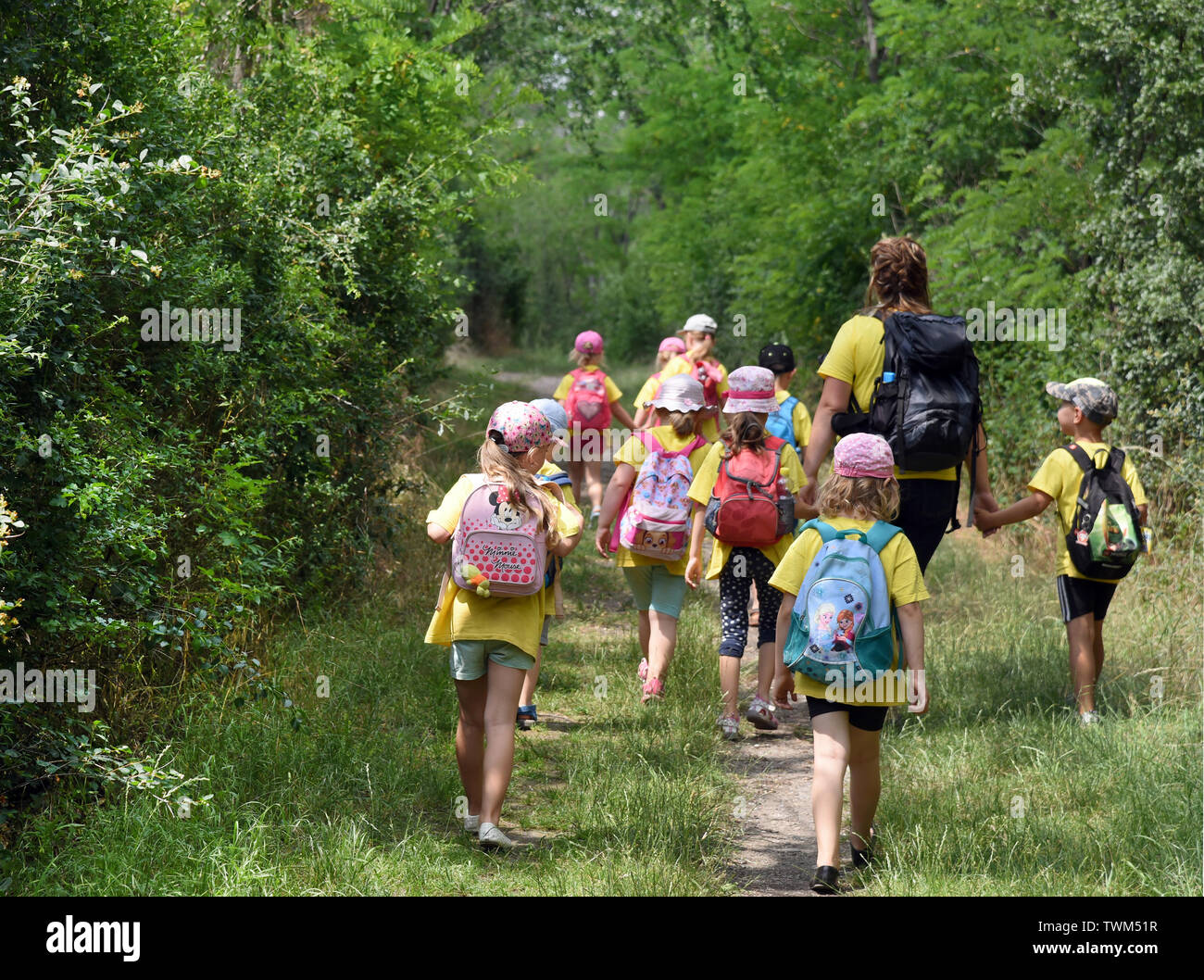 18 June 19 Saxony Anhalt Mucheln Stobnitz The Children Of The Ant Group Of The Adventure Kindergarten Rainbow In Mucheln Stobnitz Walk With Their Educator Jennifer Geheb Through The Forest Near Their Small Fortified Shelter