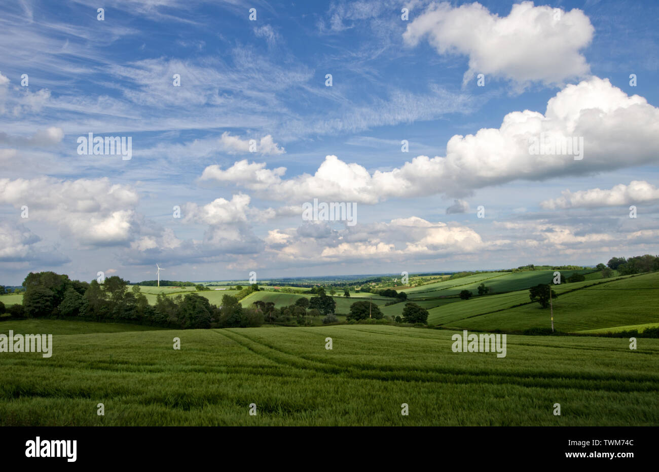 A beautiful English Countryside on a summer afternoon with backdrop of a  windmill under deep blue sky with spongy clouds and rolling meadows. Stock Photo