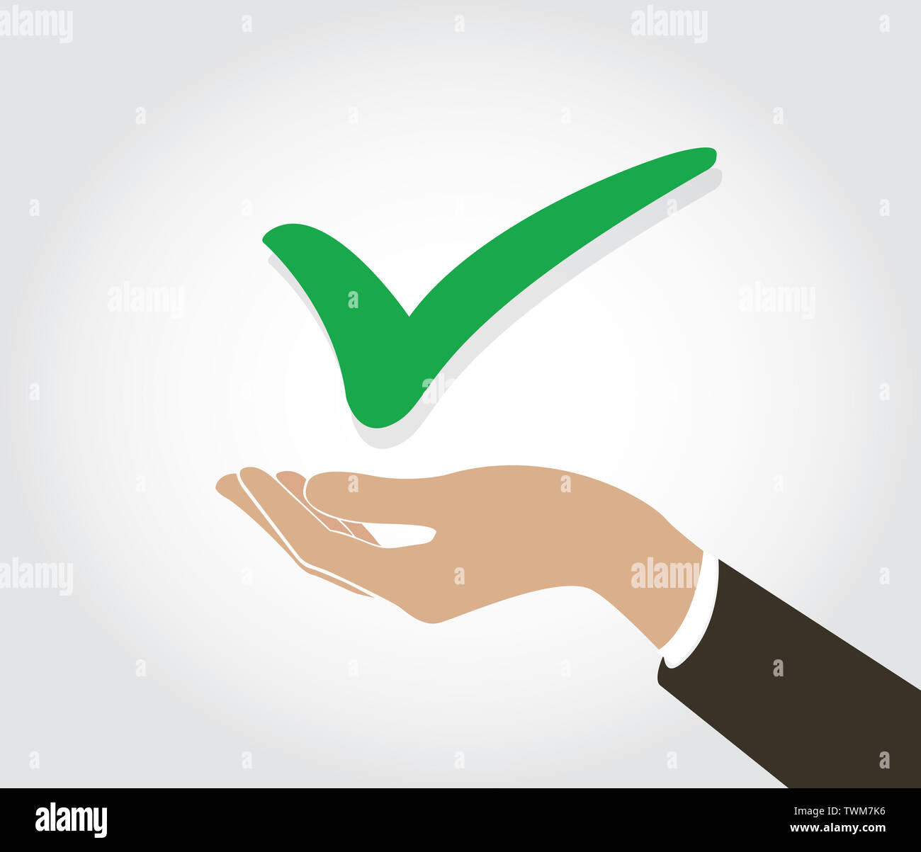hand holding True check icon symbol Stock Photo - Alamy