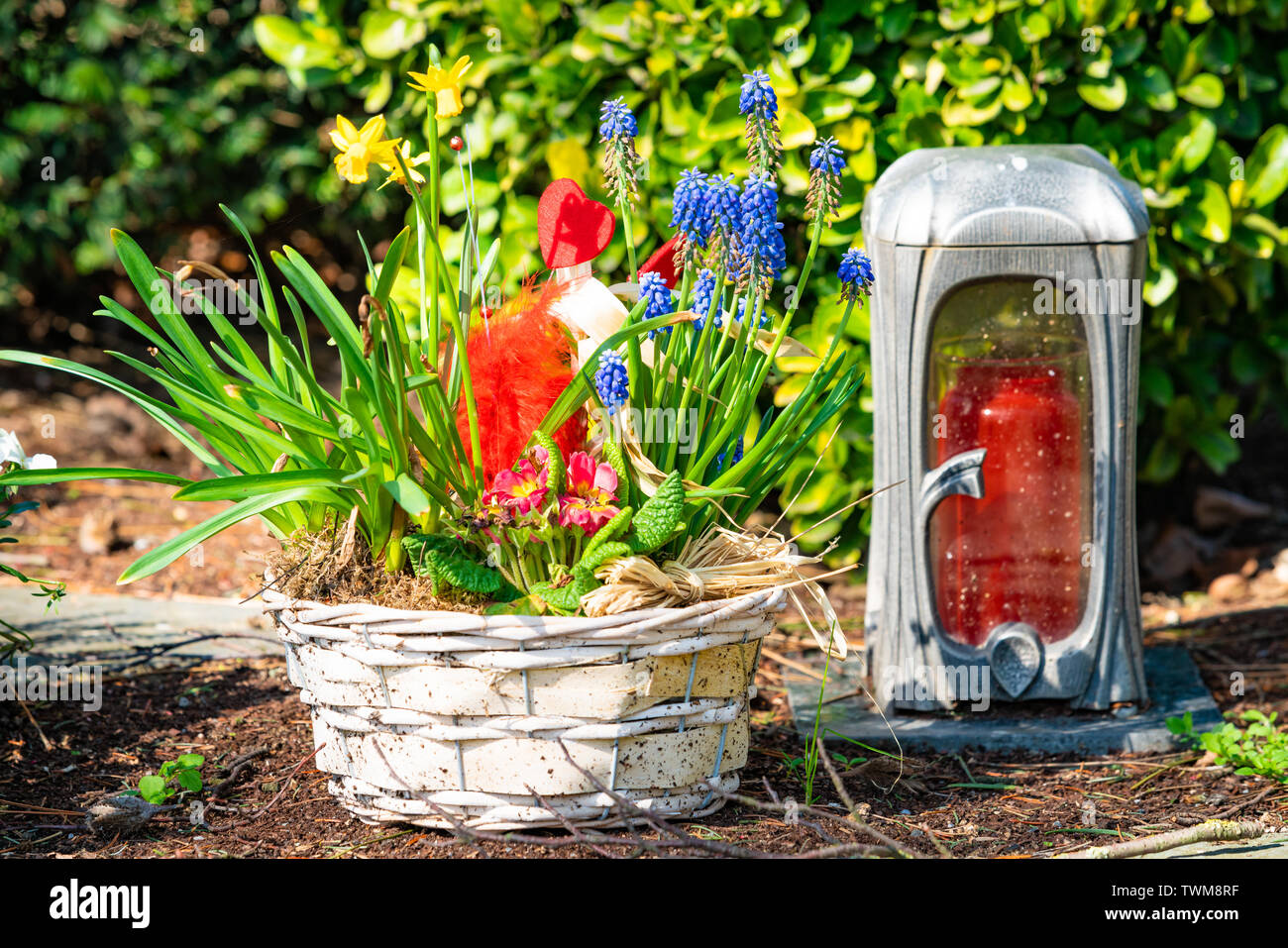 lights on the graves.memorial Stock Photo Alamy