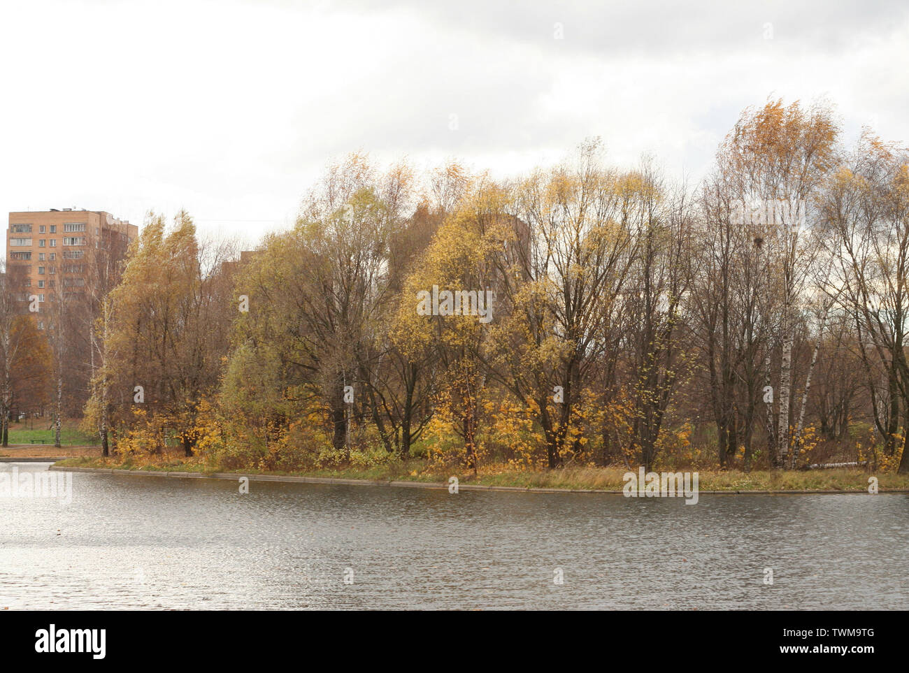 autumn in city park at day Stock Photo - Alamy