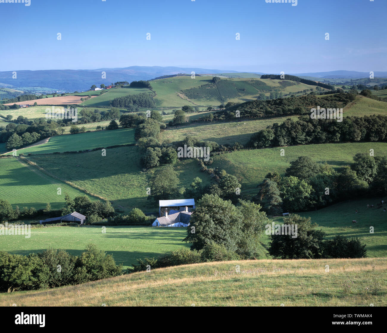 United Kingdom. Wales. Landscape. Near Ruthin. Stock Photo