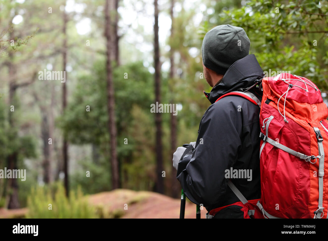 Hiker wearing hiking backpack and hardshell jacket on hike in forest. Man wearing hat gloves using hiking sticks poles outdoors in woods. Male hiker standing looking away. Stock Photo