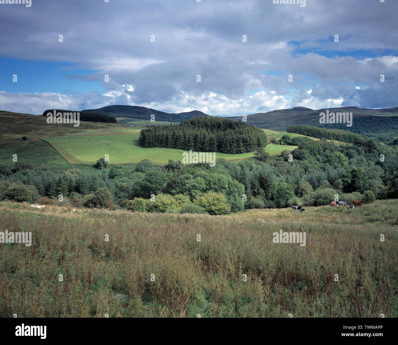 United Kingdom. Scotland. Dumfries and Galloway. Fleet valley. Landscape. Wooded hills. Stock Photo