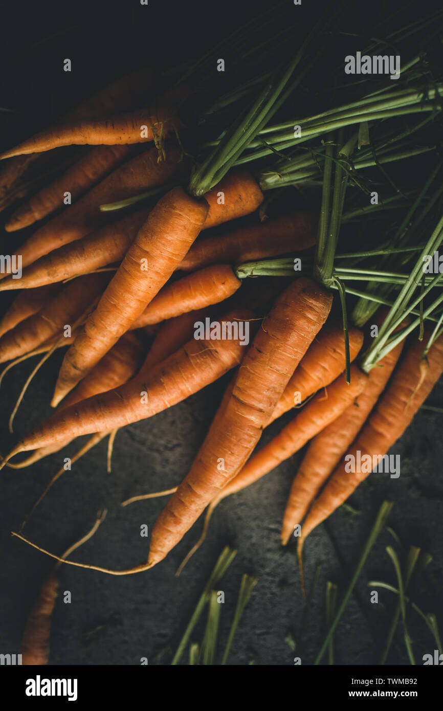 Fresh Organic Nantes Carrots on Dark Background. Healthy Food. Stock Photo