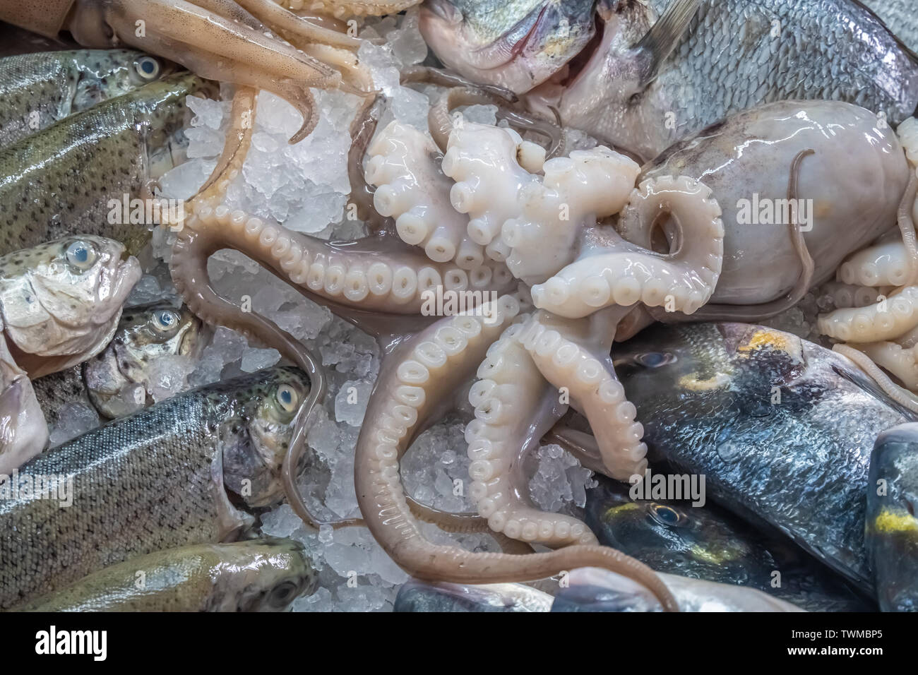 Mall Shopping Centre Sofia Bulgaria High Resolution Stock Photography and  Images - Alamy