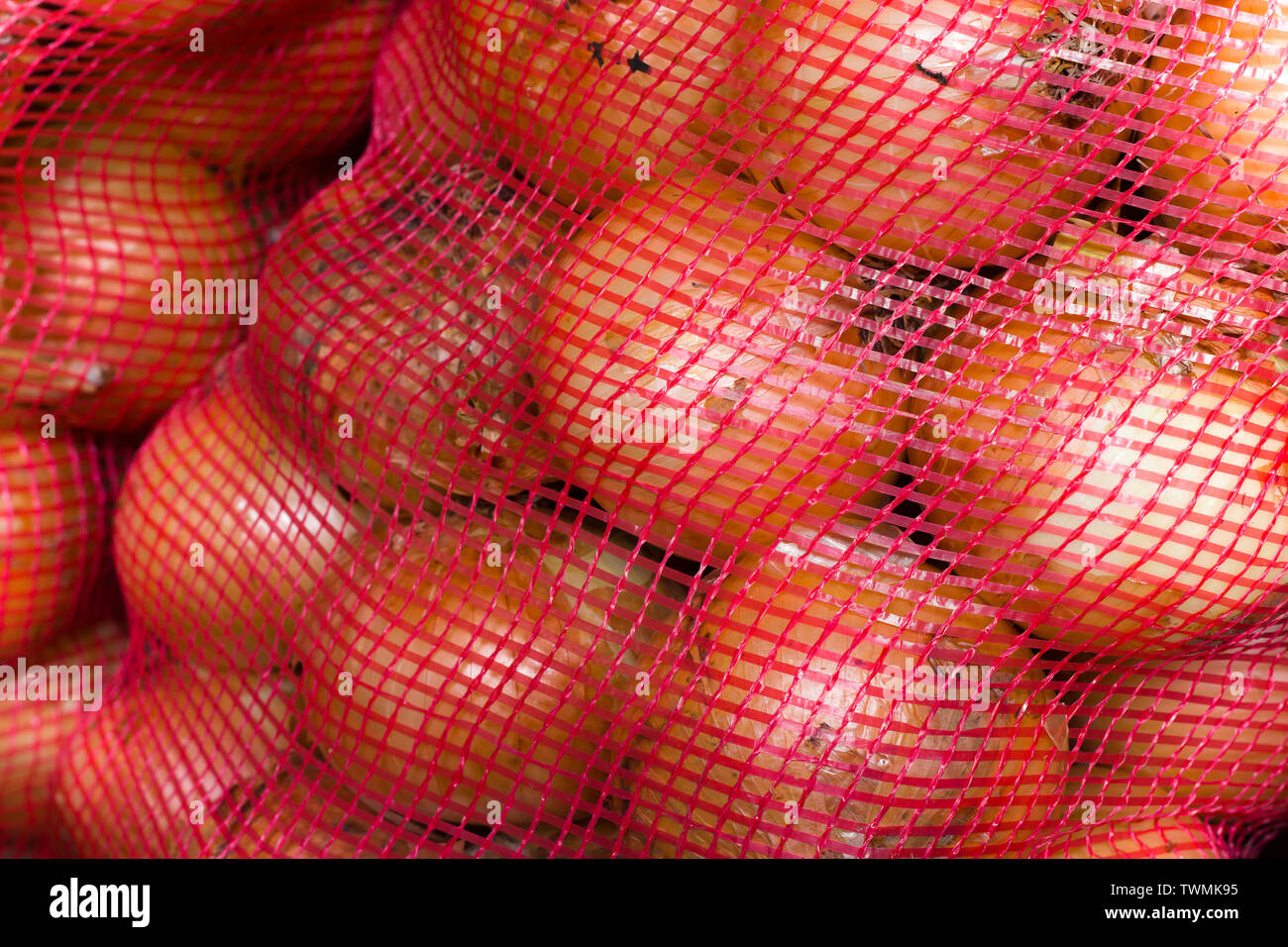 onion, onion pictures in big bags, winter onions paintings, onion and vegetables in large nets