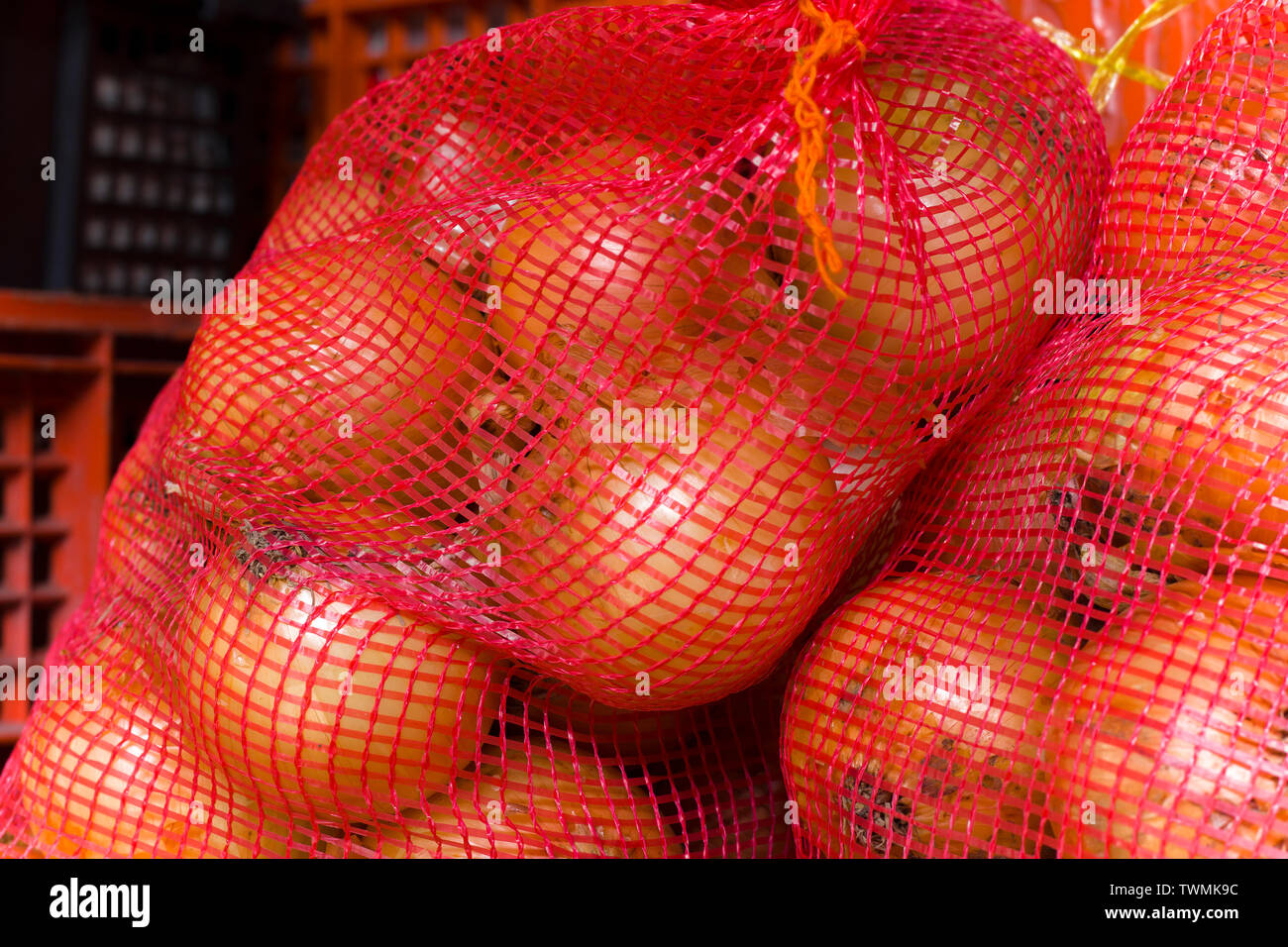 https://c8.alamy.com/comp/TWMK9C/onion-onion-pictures-in-big-bags-winter-onions-paintings-onion-and-vegetables-in-large-nets-high-resolution-image-gallery-TWMK9C.jpg