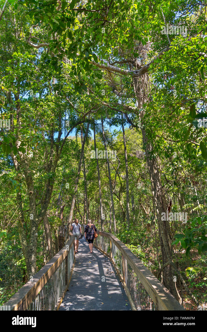 Visitors on the boardwalk in the Sea Acres Rainforest Centre, Port Macquarie, New South Wales, Australia Stock Photo