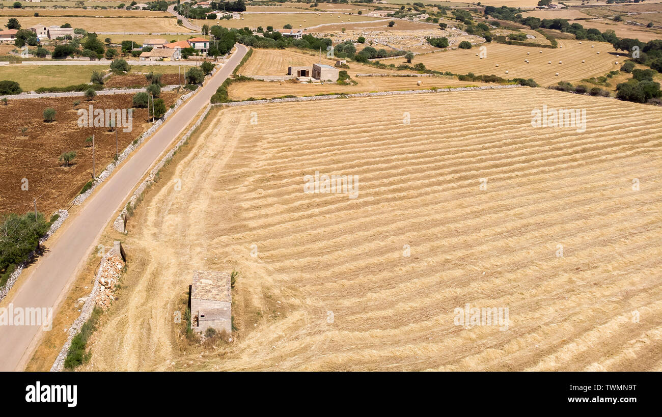 Aerial view of some fields of wheat during a beautiful sunny day in ...