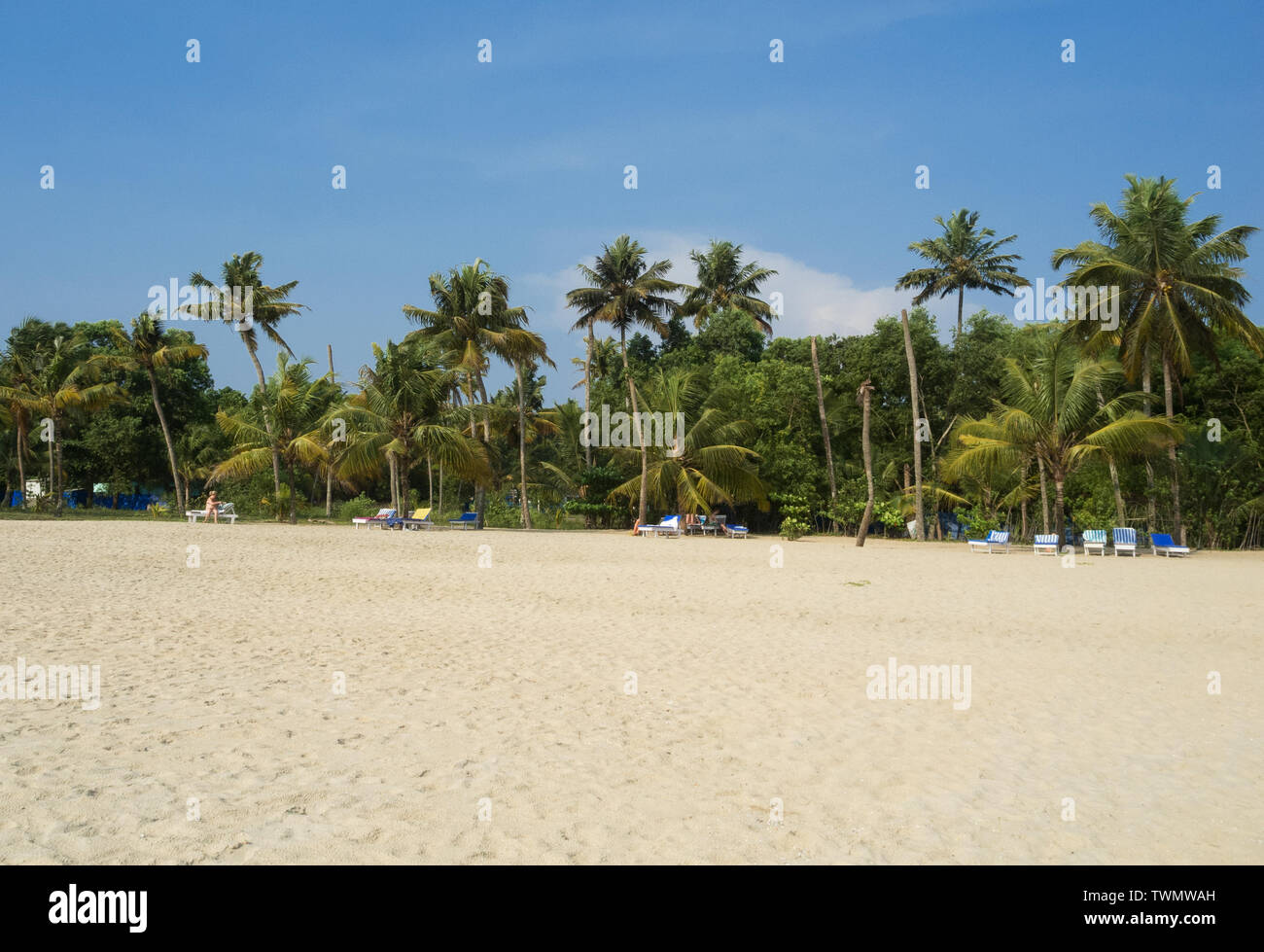 Sand and coconut trees on the Malabar Coast of the Arabian Sea in Kochi, Kerala, India Stock Photo
