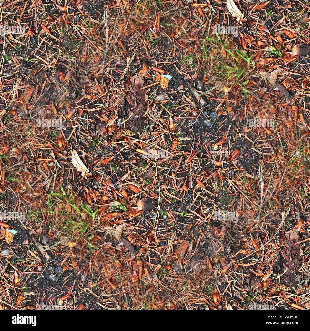 High resolution seemless texture of forest ground with autumn leaves ...
