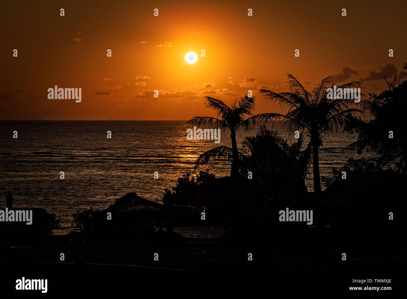 Beach scene with palm trees Stock Photo