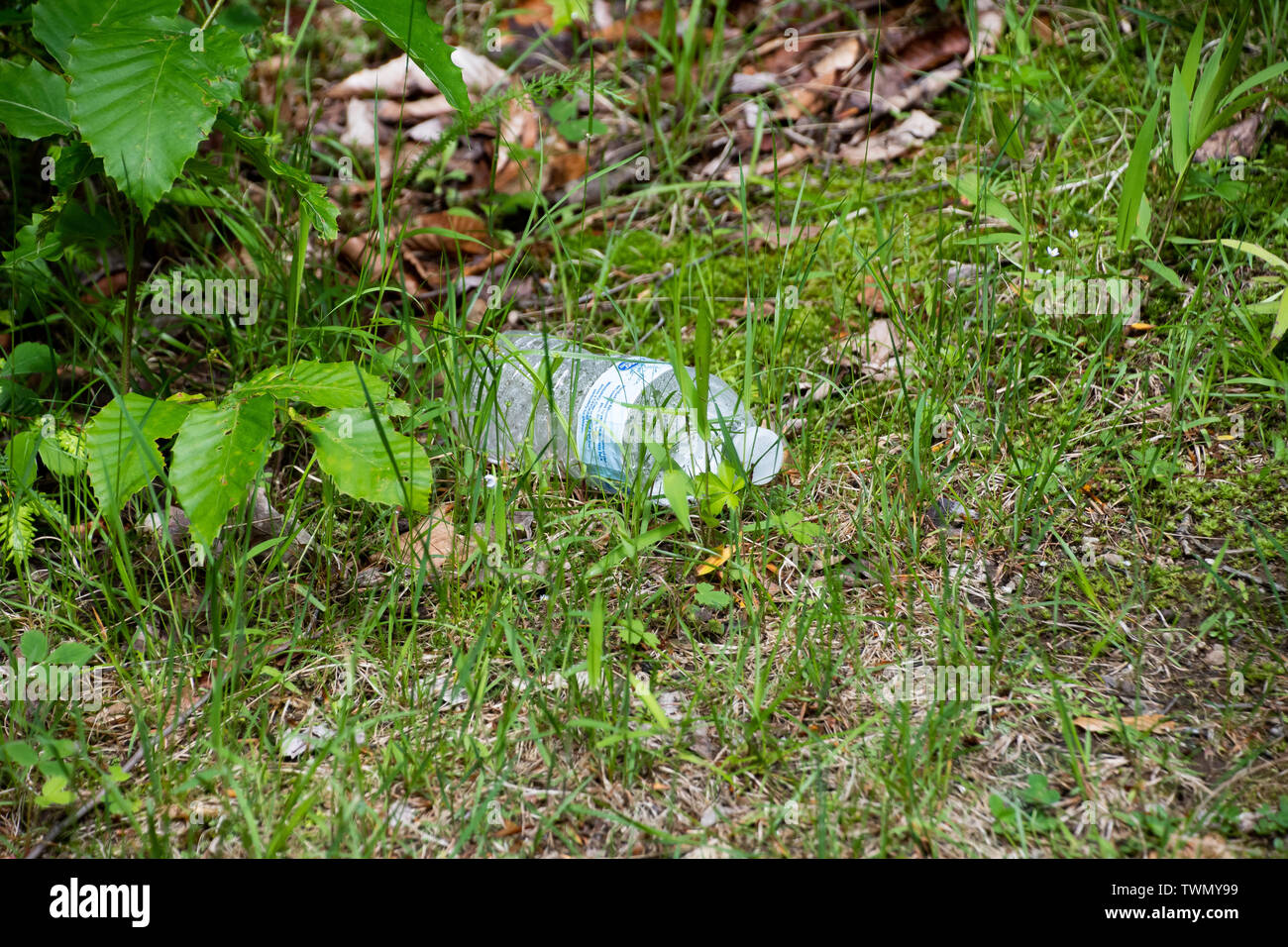 An empty plastic water bottle thrown in the weeds on a wilderness  forest road in the Adirondack Mountains, NY USA Stock Photo