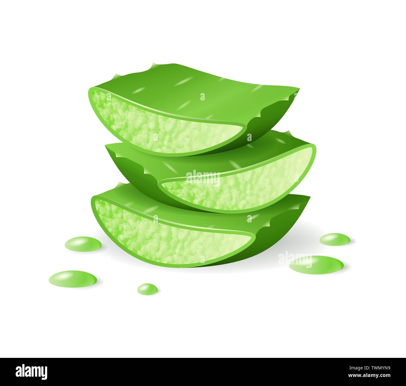 Aloe Vera cut pieces, realistic green plant, leaves or cut pieces with aloe  dripping juice Stock Vector Image & Art - Alamy