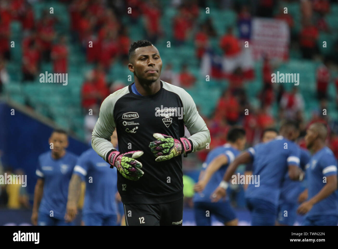 Salvador, Brazil. 21st June, 2019. Ortíz, goalkeeper of the Ecuadorian National Team, during a match between Ecuador and Chile, valid for the 2019 Copa America group stage, held this Friday (21) at the Fonte Nova Arena in Salvador, Bahia, Brazil. Credit: Tiago Caldas/FotoArena/Alamy Live News Stock Photo