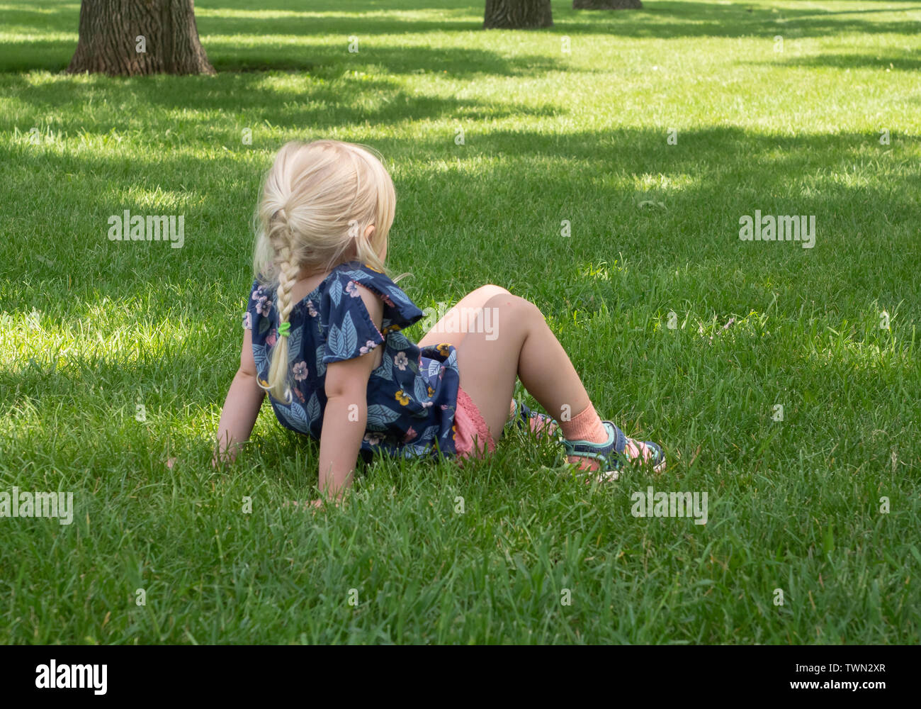 Little girl in pink shorts and patterned blue shirt sitting in green